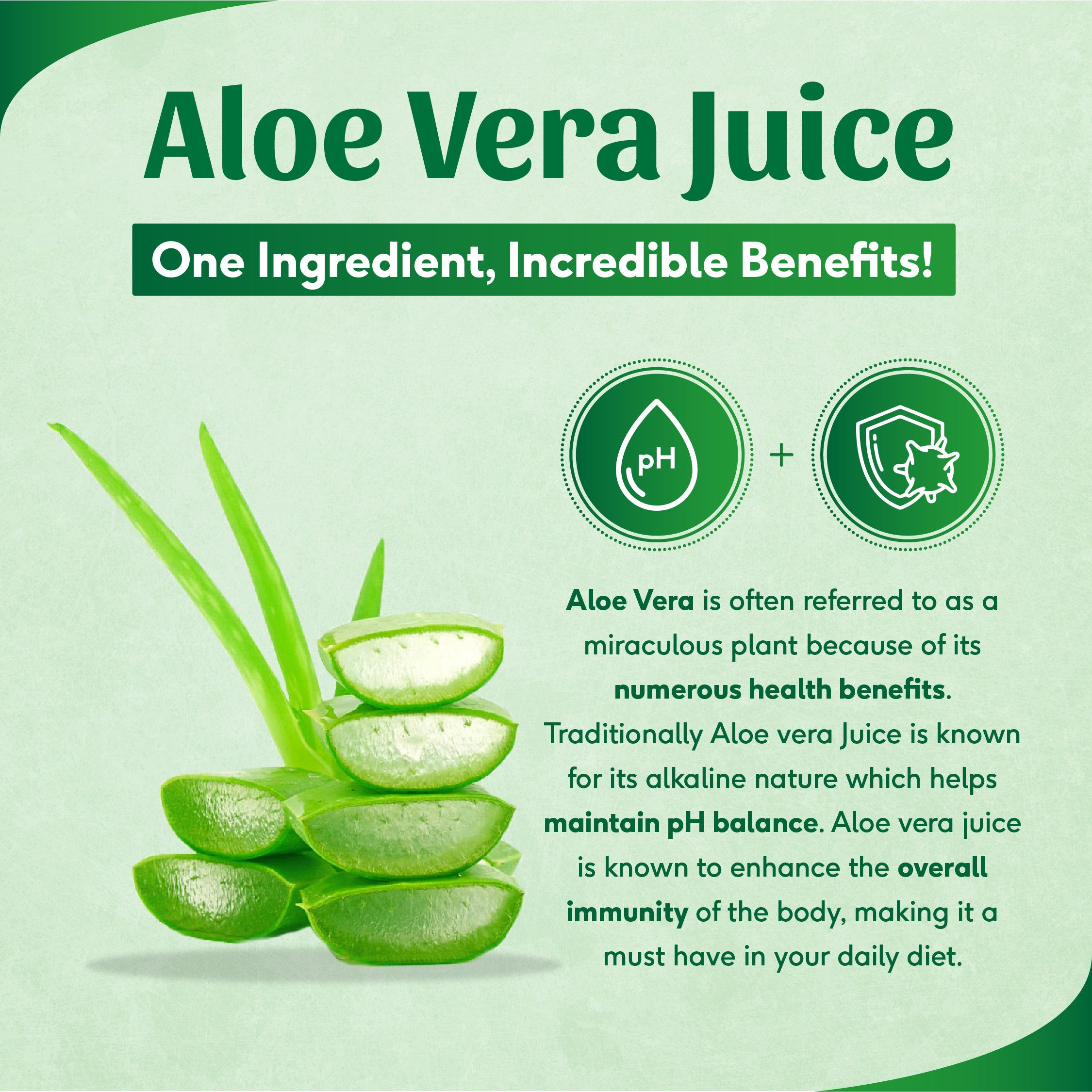 Aloe vera juice making best sale