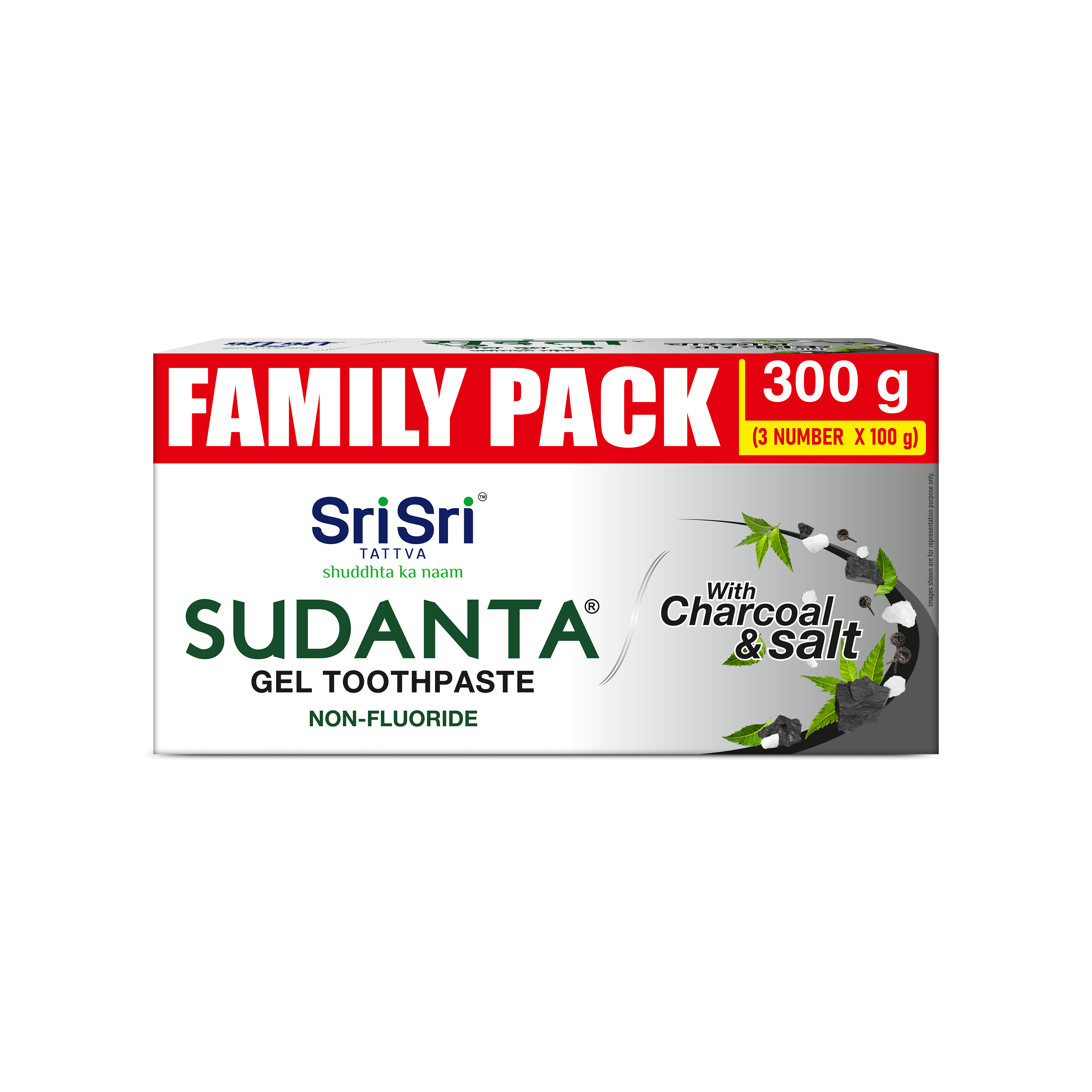 Sudanta Gel Toothpaste - With Charcoal & Salt. SLS Free. Non - Fluoride - 100% Vegetarian, Family Pack 100 g x 3 (300 g)