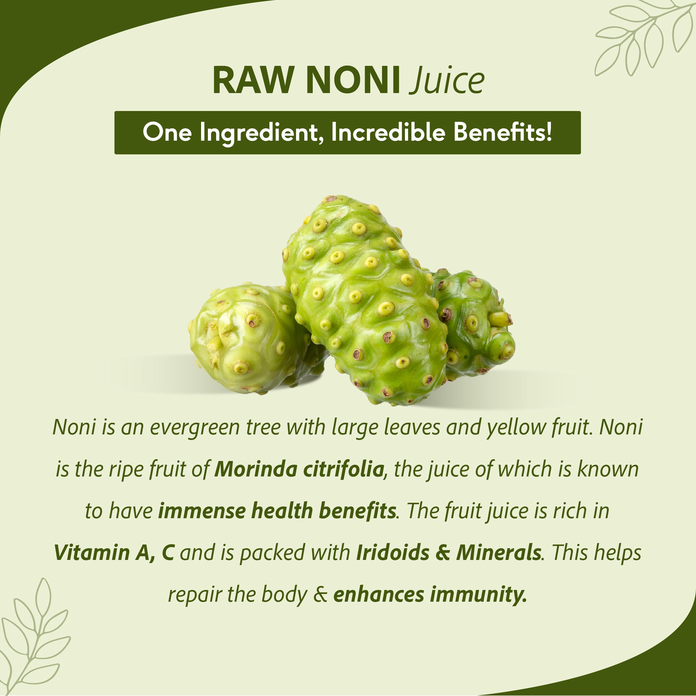 Benefits of noni tea hotsell