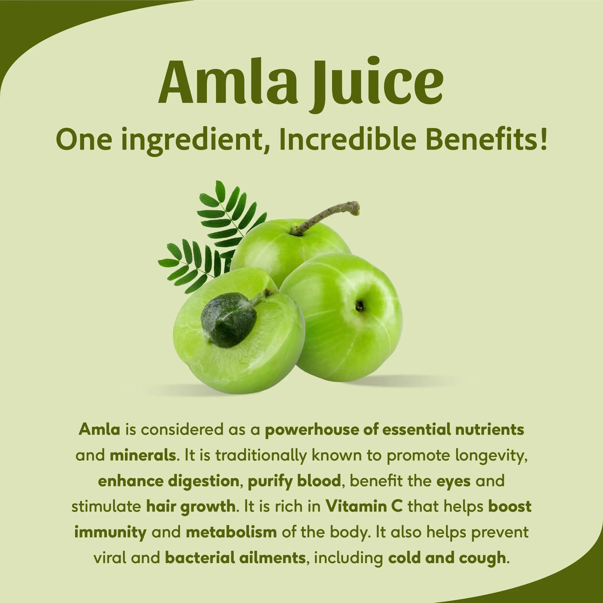 Dabur Amla Juice 1L  Rich Source of Vitamin C  Effective Antioxidants  for Immunity boosting  Pure Natural and 100 Ayurvedic Juice  Amazonin  Health  Personal Care