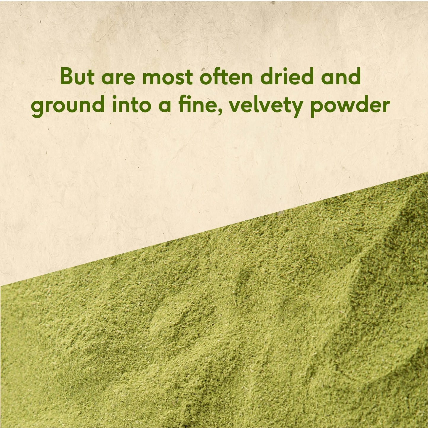 Moringa Powder, 100g - Sri Sri Tattva